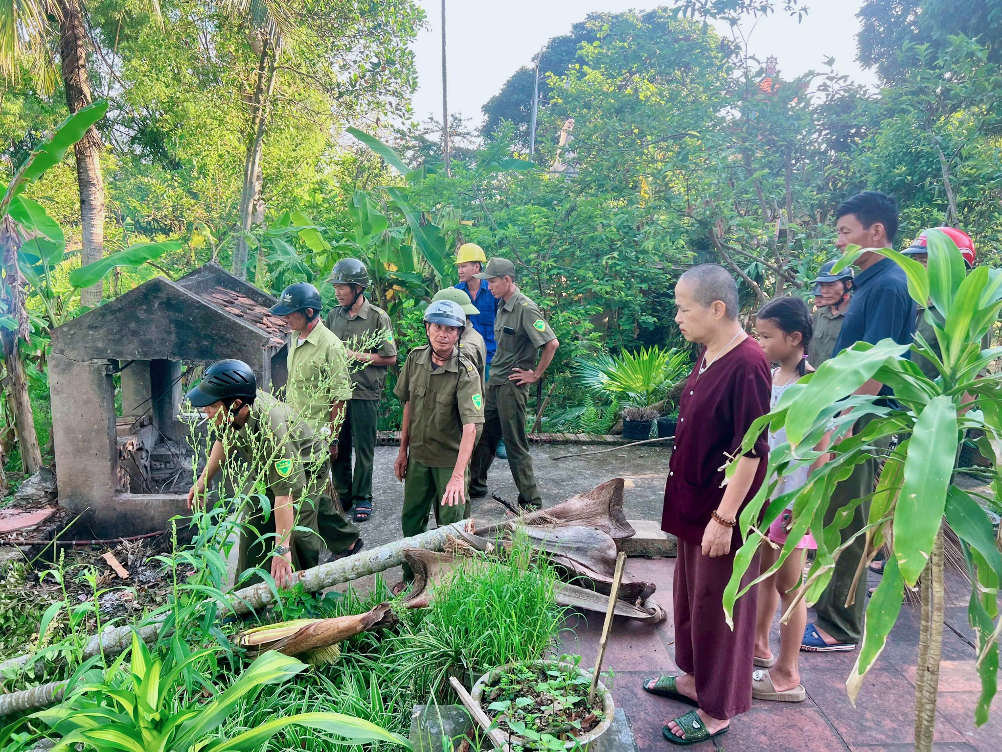 Anh-tin-bai