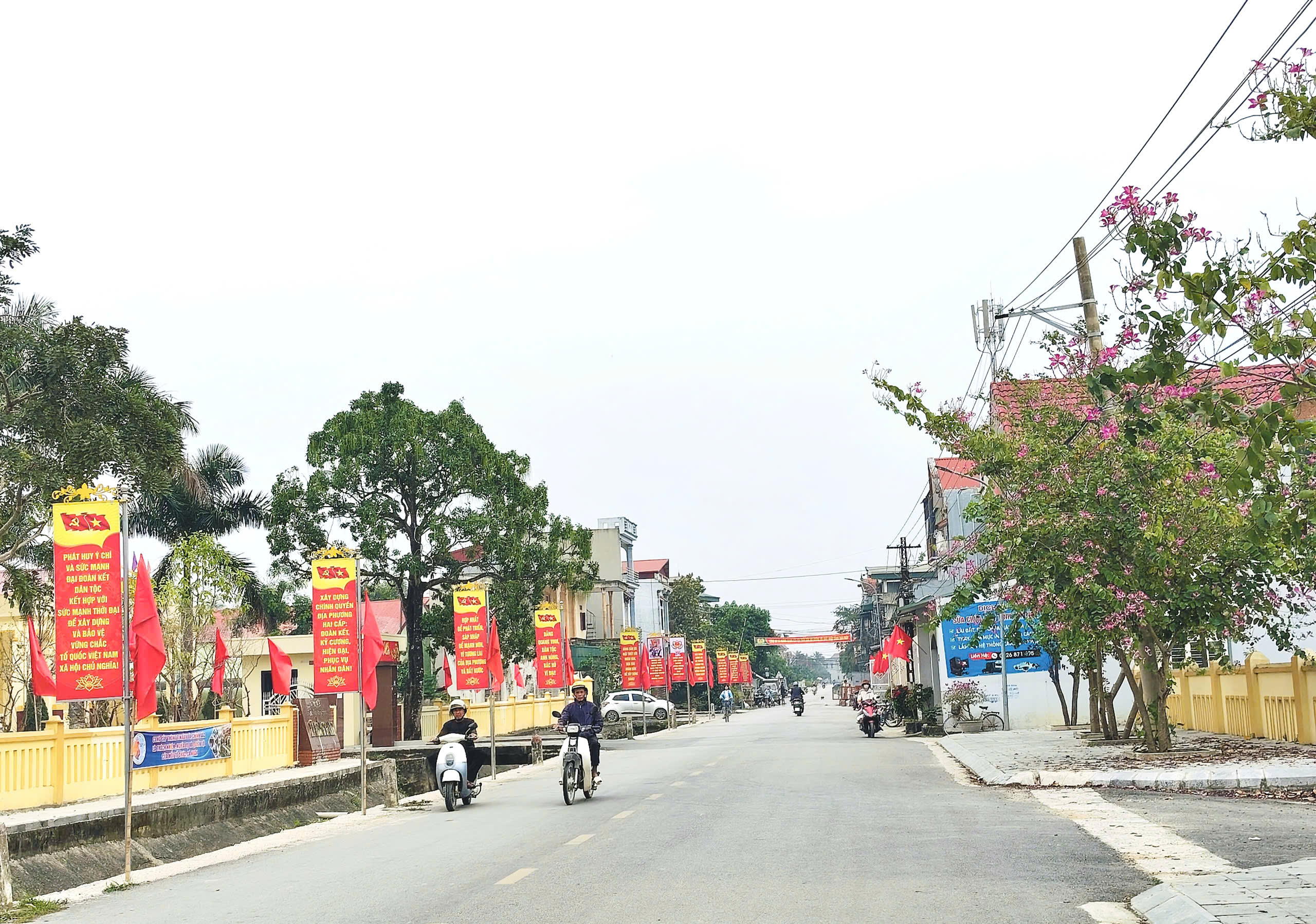 Anh-tin-bai