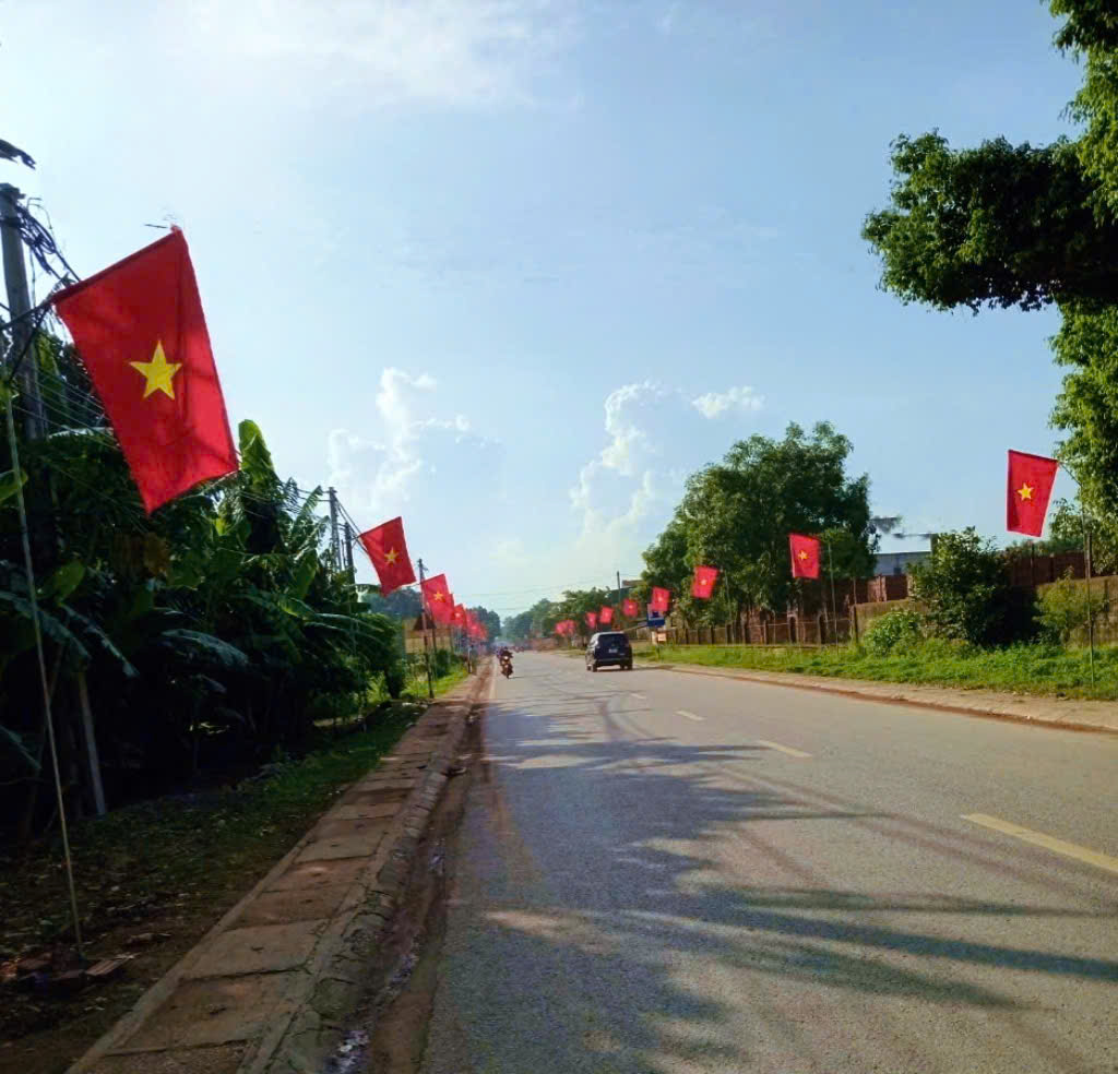 Anh-tin-bai