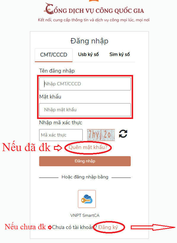 05.jpg