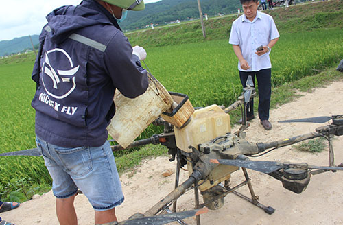 Mô hình sản xuất lúa-cá luân phiên đạt tiêu chuẩn VietGAP hướng tới sản xuất lúa-cá luân phiên hữu cơ tại xã Hà Lĩnh