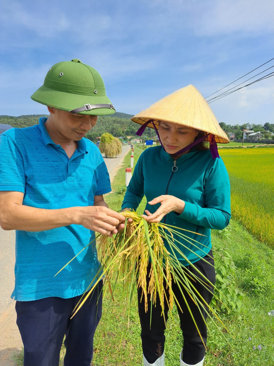 Thí điểm mô hình sản xuất lúa ST 24 theo tiêu chuẩn VIETGAP tại xã Hà Lĩnh