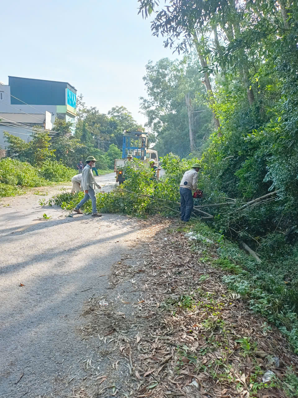 D:\2. NĂM 2025 LĨNH TOẠI\3. BÀI VIẾT\z7082540489974_126f53a978fb7dab27b35f8f5262043a.jpg