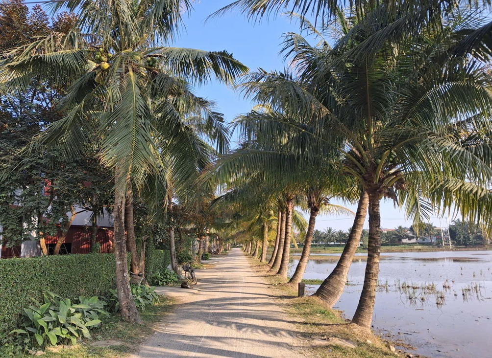 UBND XÃ LĨNH TOẠI PHÁT ĐỘNG NGÀY CÂY XANH VIỆT NAM 11/01/2026