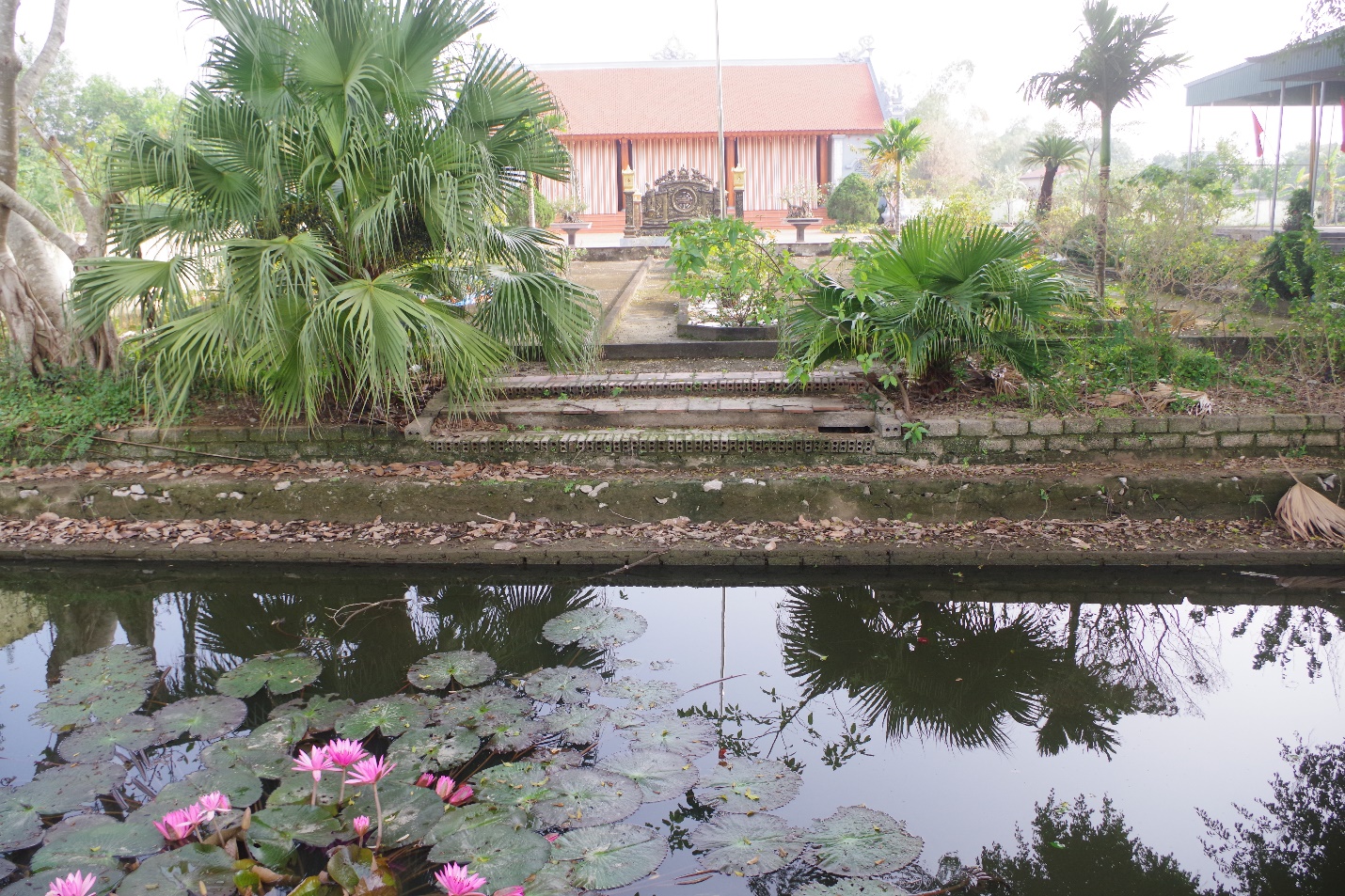 Picture 4