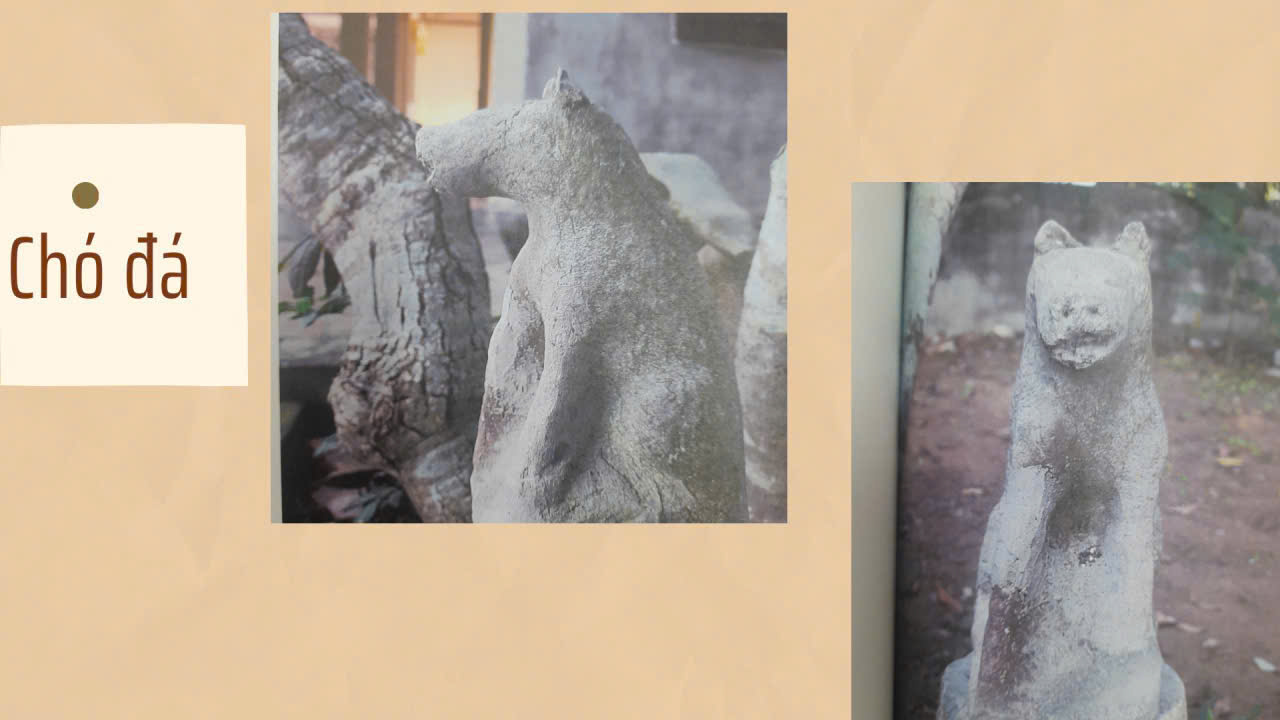 Picture 8