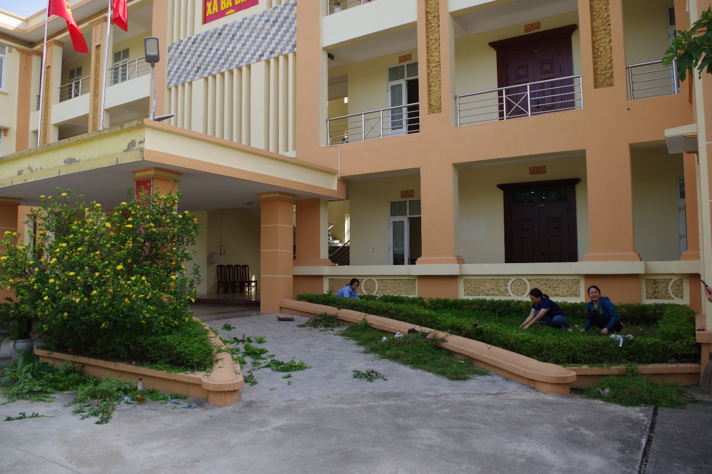 Picture 6