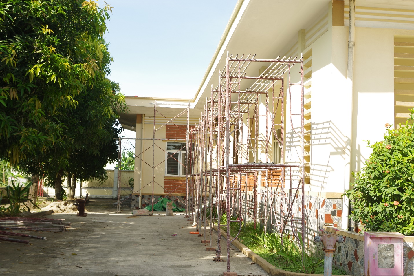 Picture 8