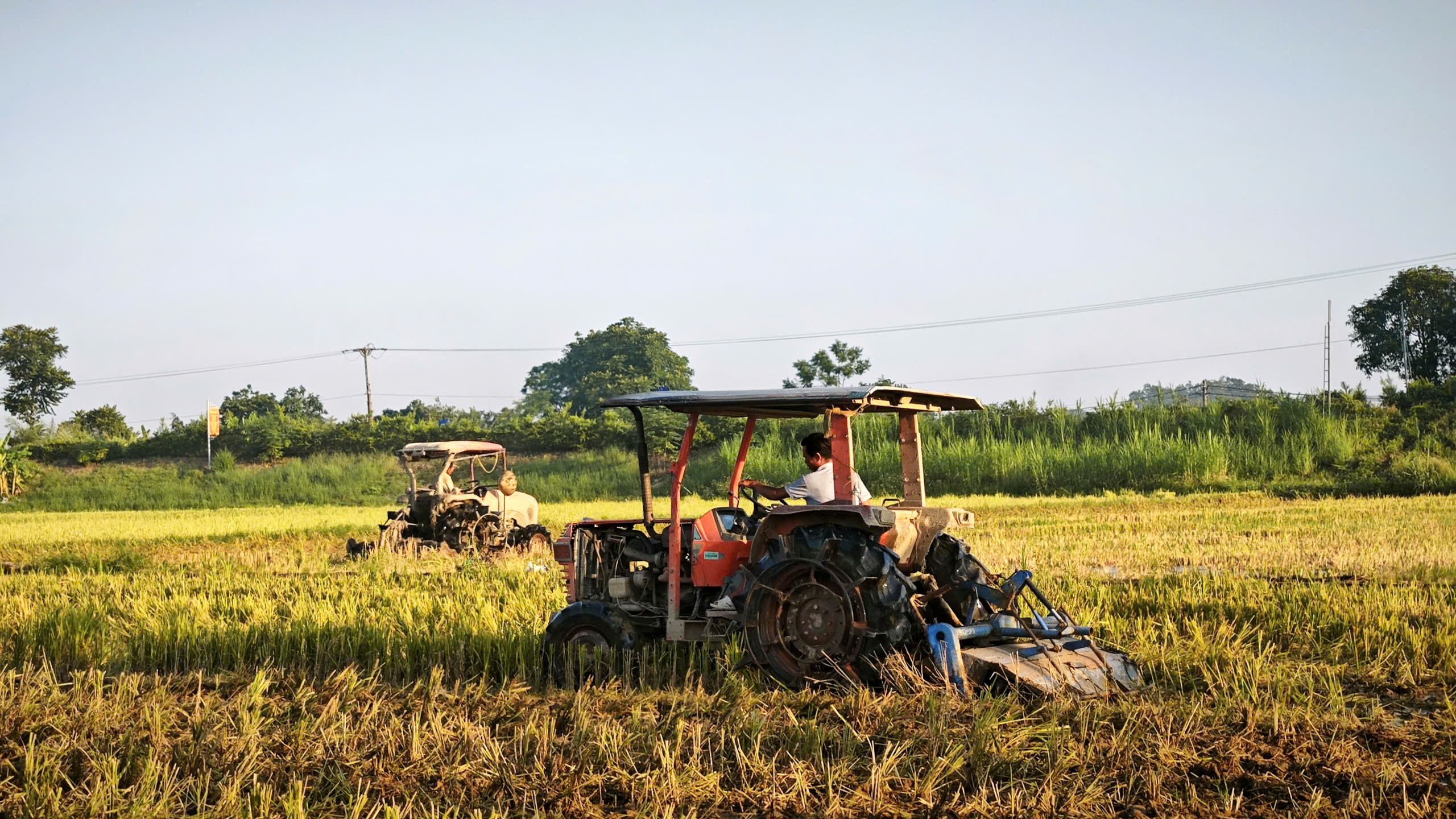 Nông dân xã Định Tân hối hả vào vụ gieo cấy lúa mùa