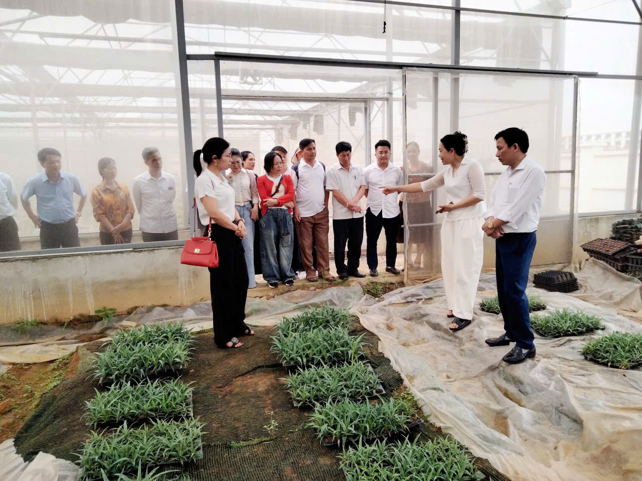 Đoàn công tác xã Định Tân học tập mô hình sản xuất nông nghiệp, xây dựng nông thôn mới