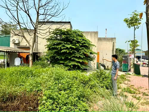 Vạch trần chiêu trò xuyên tạc vụ việc “cướp đất” ở Thanh Hoá