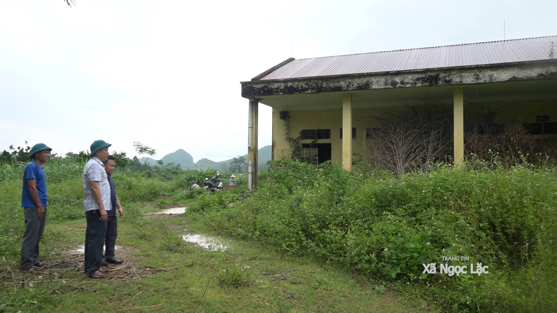 Anh-tin-bai