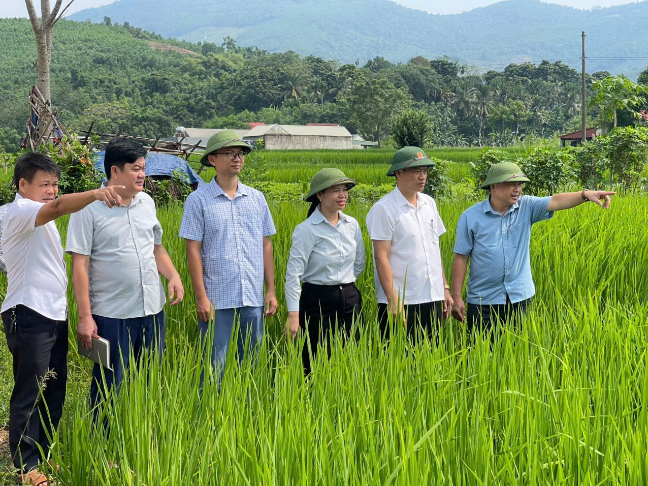 BÍ THƯ ĐẢNG ỦY, CHỦ TỊCH HĐND THĂM VÀ KIỂM TRA TIẾN ĐỘ DỰ ÁN TRANG TRẠI LỢN DABACO ĐỒNG THỊNH, KIỂM TRA ĐỒNG LÚA HẠT CAU SẢN PHẨM OCOP 3 SAO, VÀ CÔNG TY TRUNG SƠN XÃ THẠCH LẬP