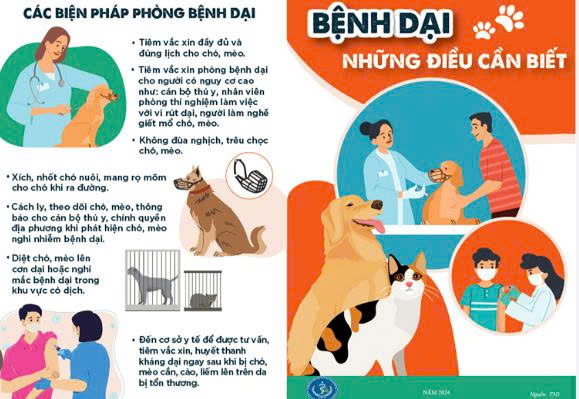 Thành Vinh - Triển khai các hoạt động phòng, chống bệnh dại trên địa bàn năm 2026