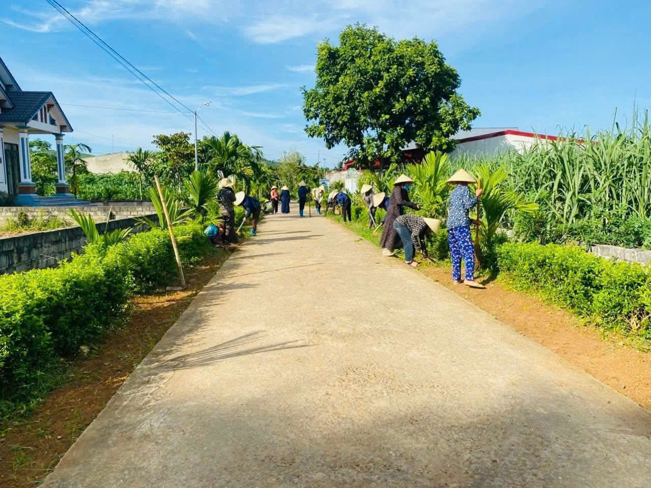 Anh-tin-bai