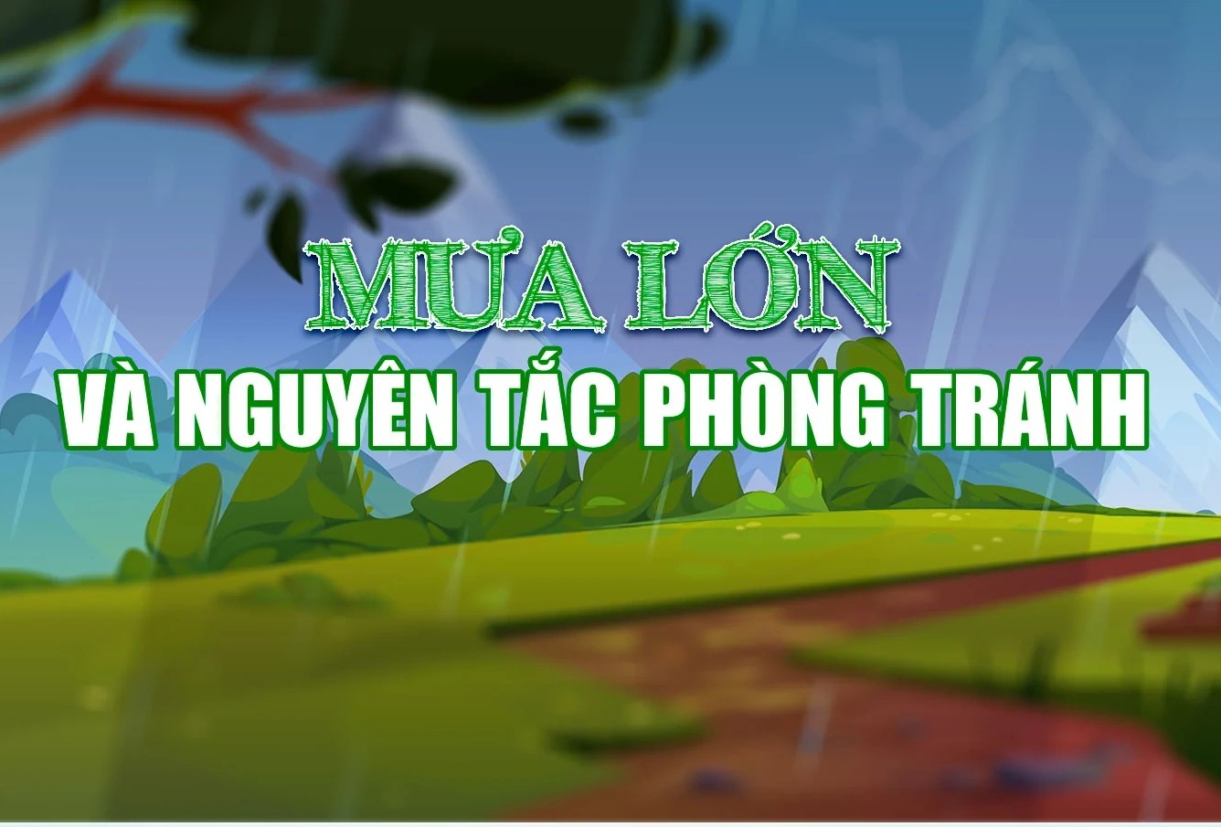 Mưa lớn và nguyên tắc phòng tránh