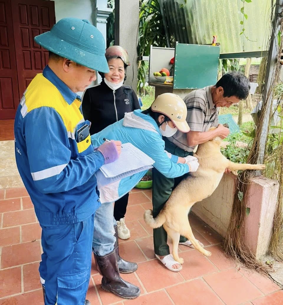 Anh-tin-bai