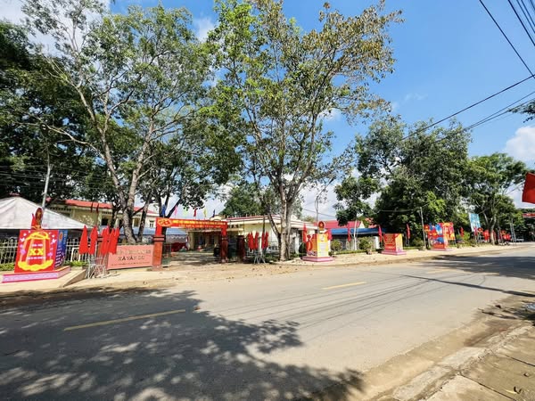  Vân Du rực rỡ cờ hoa chào mừng ngày Đại hội đại biểu Đảng bộ xã
