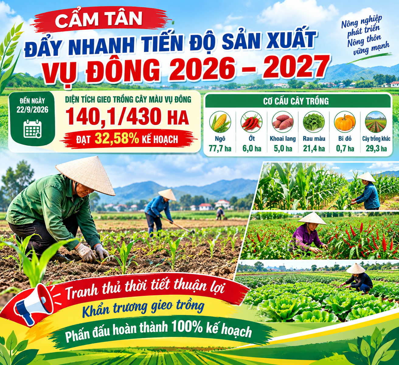 ẨM TÂN: TẬP TRUNG ĐẨY NHANH TIẾN ĐỘ GIEO TRỒNG CÂY MÀU VỤ ĐÔNG 2026–2027