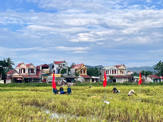 Anh-tin-bai
