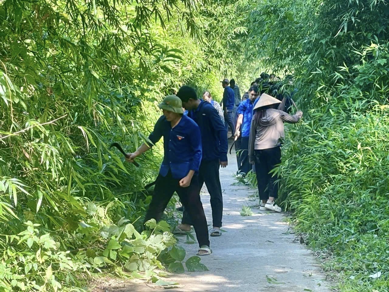 Anh-tin-bai