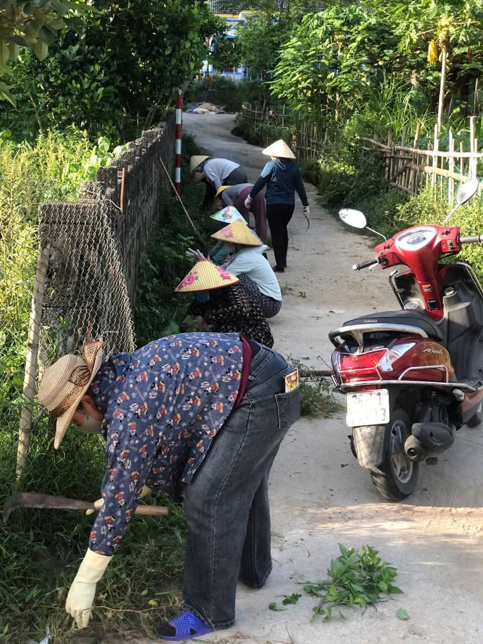 Anh-tin-bai