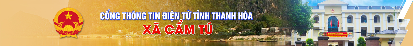 image banner