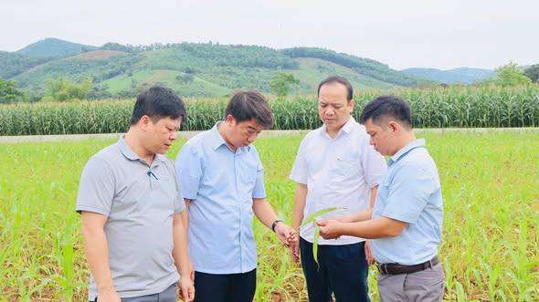 Đoàn công tác Chi cục Trồng trọt và Bảo vệ thực vật làm việc tại xã Cẩm Thủy