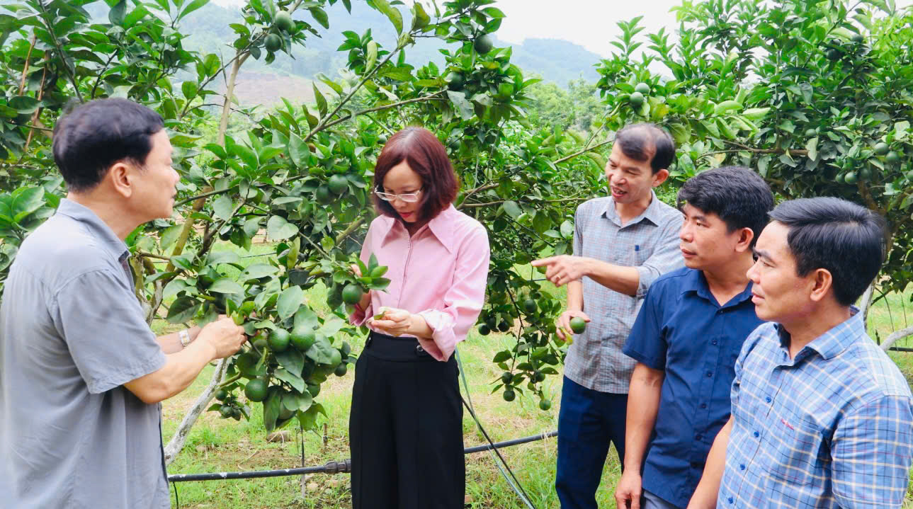 Chi cục Trồng trọt và Bảo vệ thực vật tỉnh tổ chức cấp phát phân bón hữu cơ vi sinh và vật tư nông nghiệp xây dựng vùng sản xuất đảm bảo phục vụ xuất khẩu tại xã Cẩm Thủy
