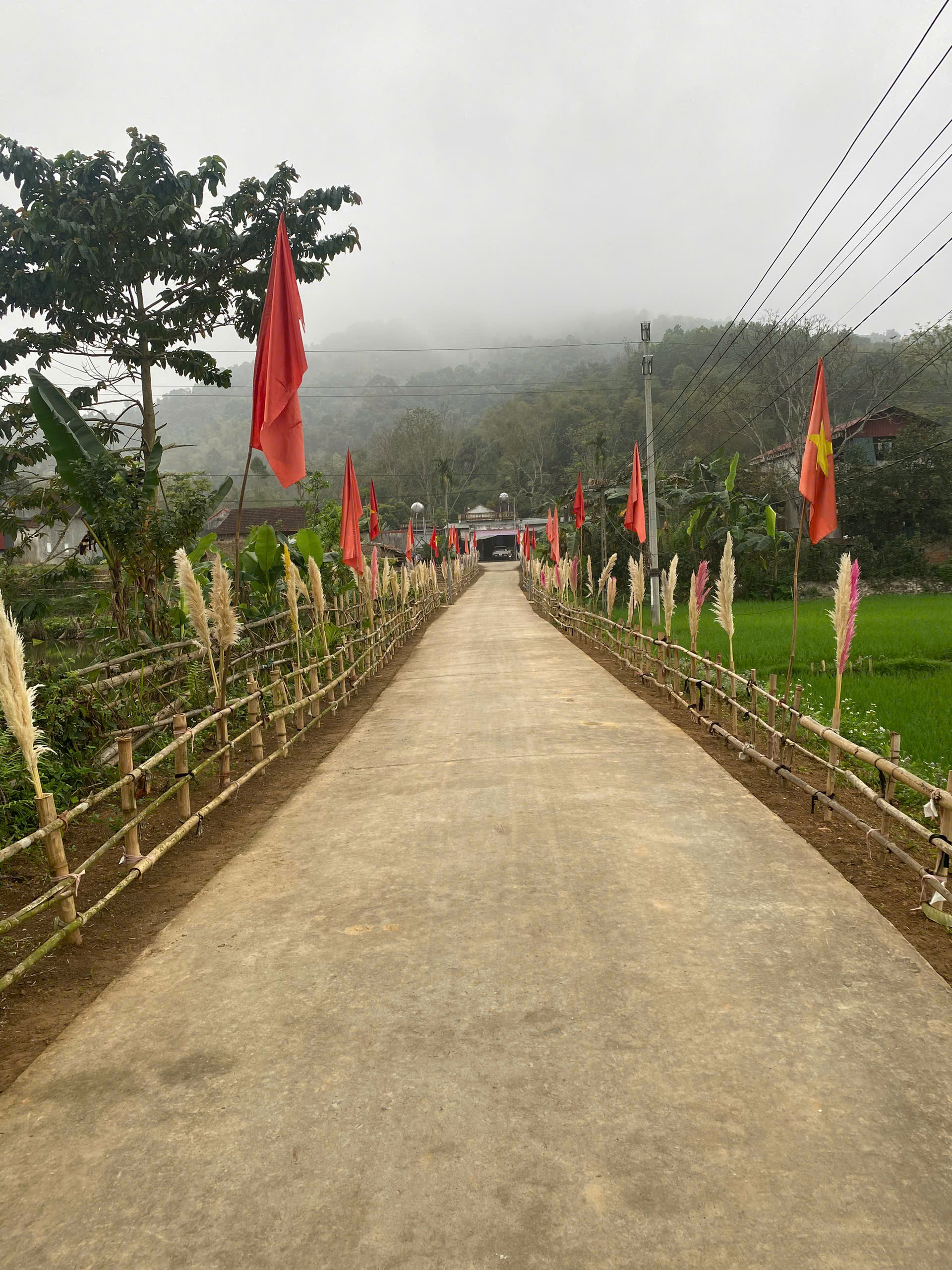 Đuong.jpg