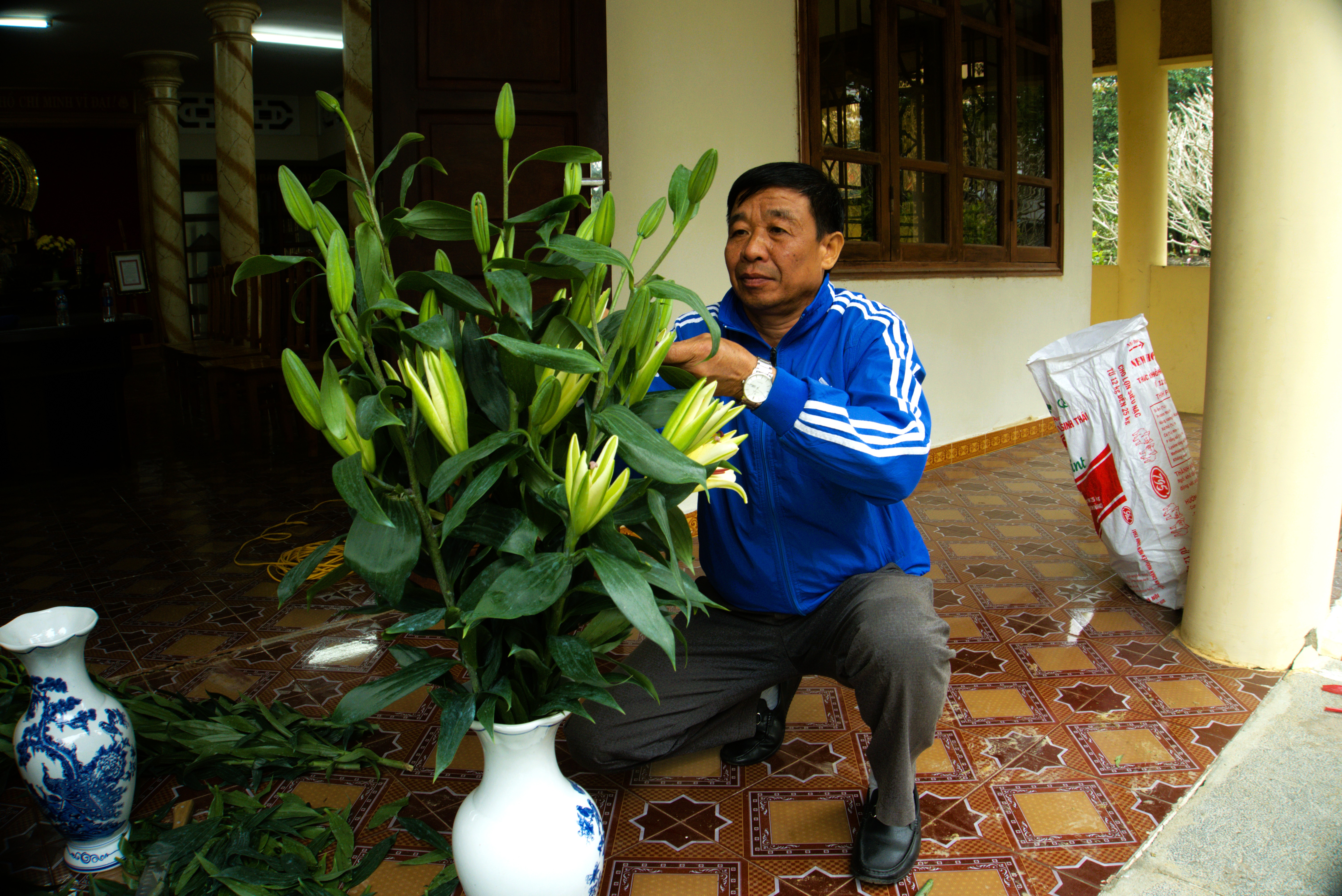 Anh-tin-bai
