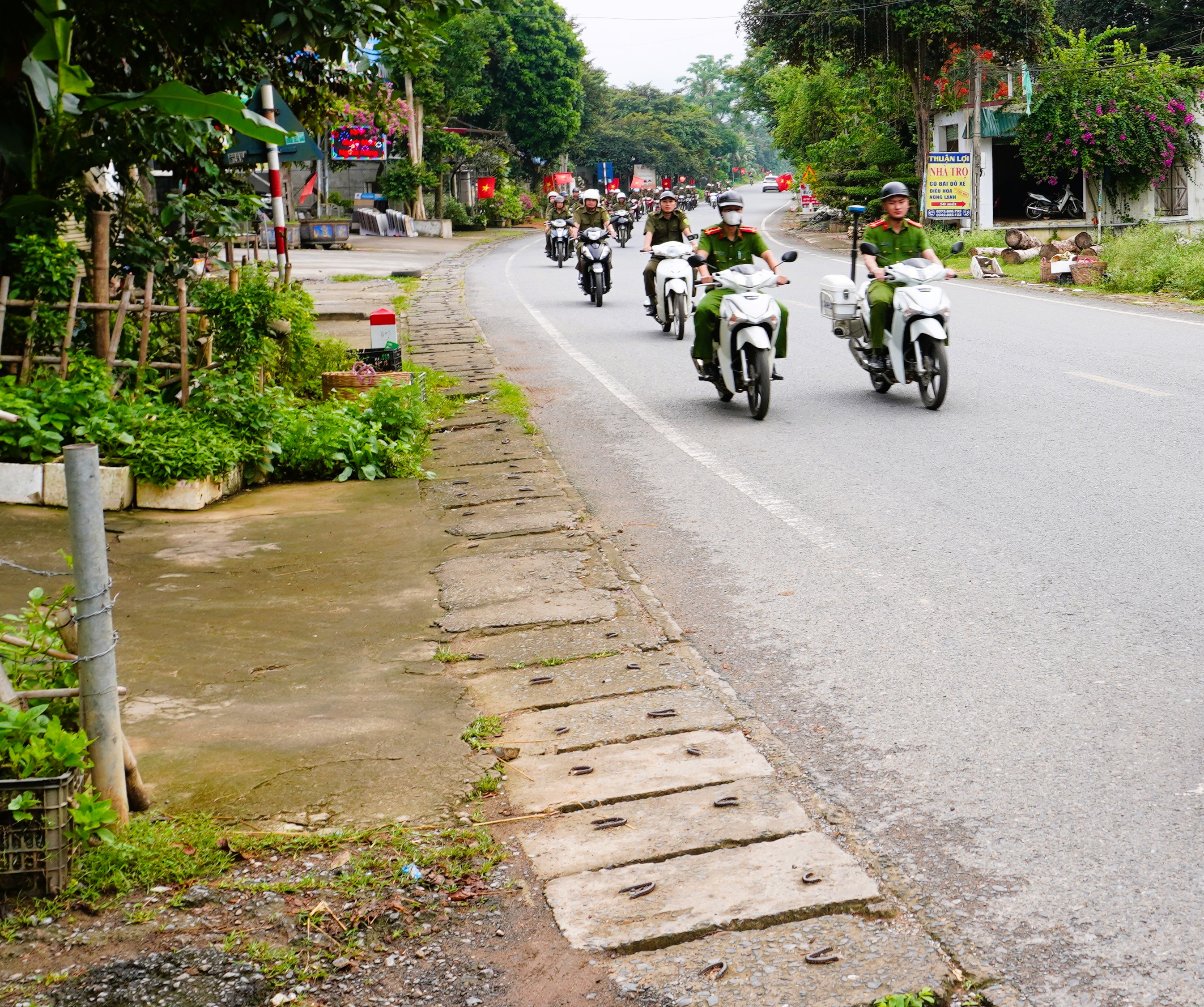 Anh-tin-bai