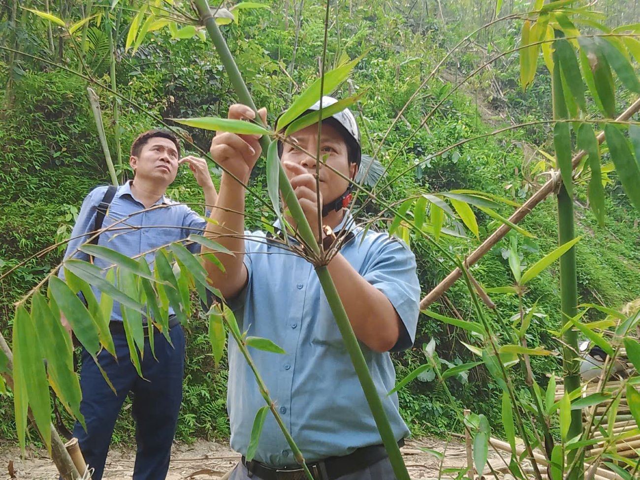 Anh-tin-bai