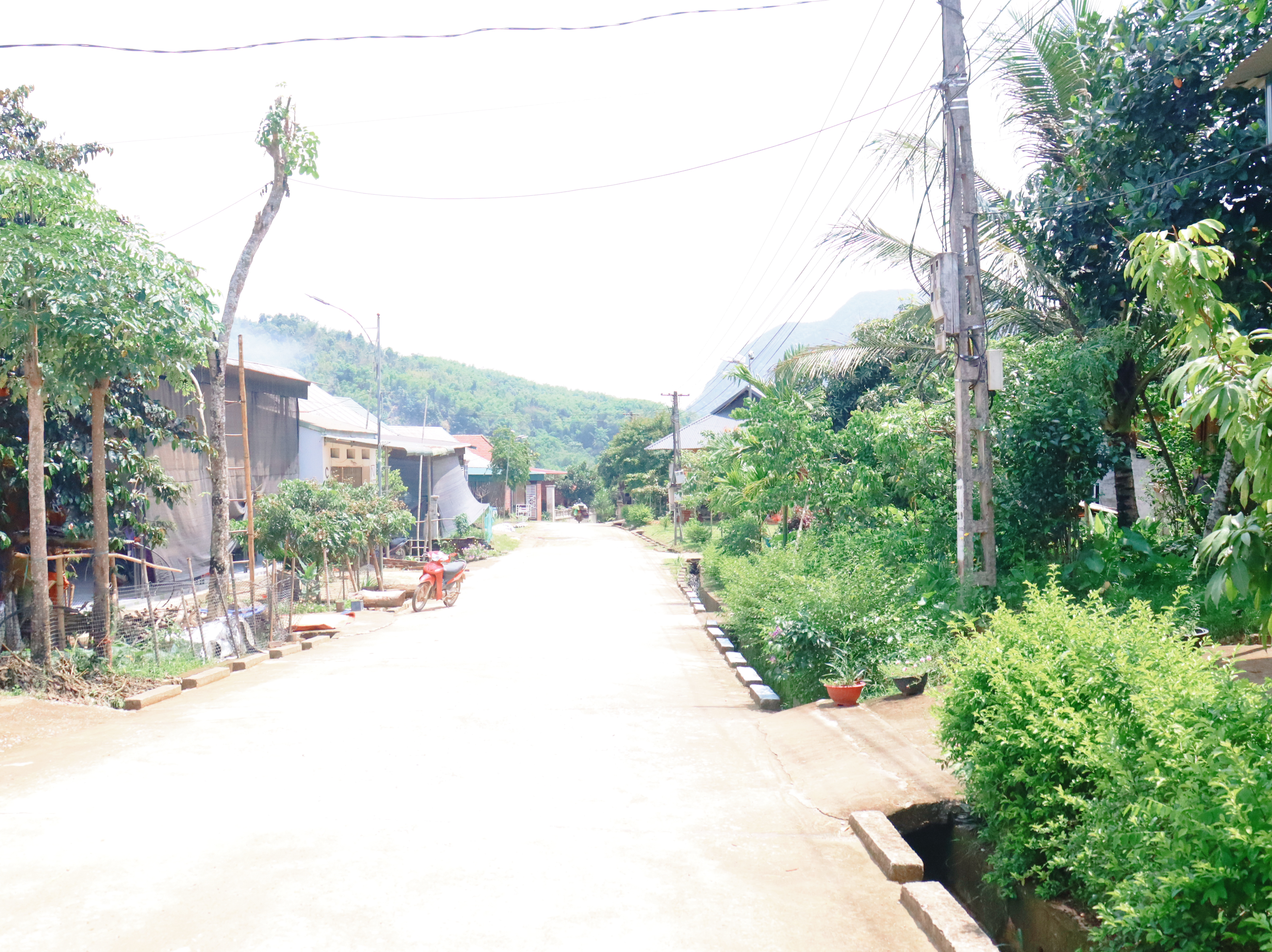 Anh-tin-bai
