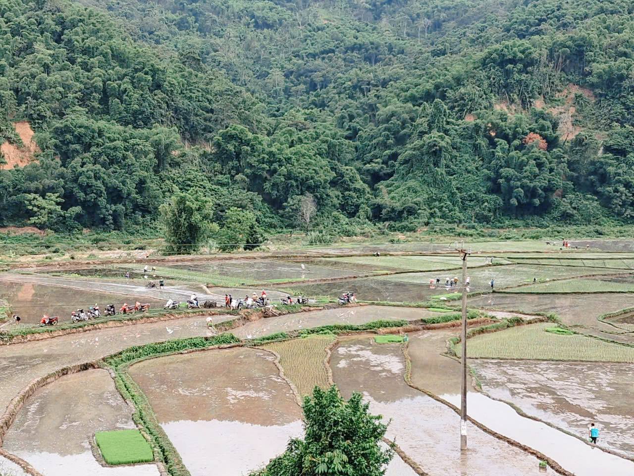 Anh-tin-bai
