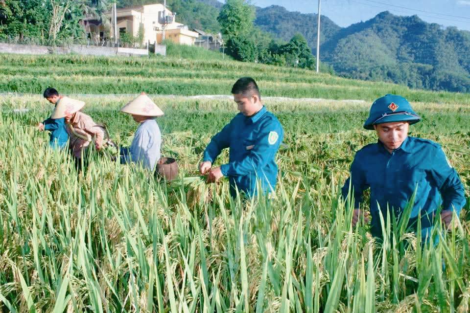 Anh-tin-bai