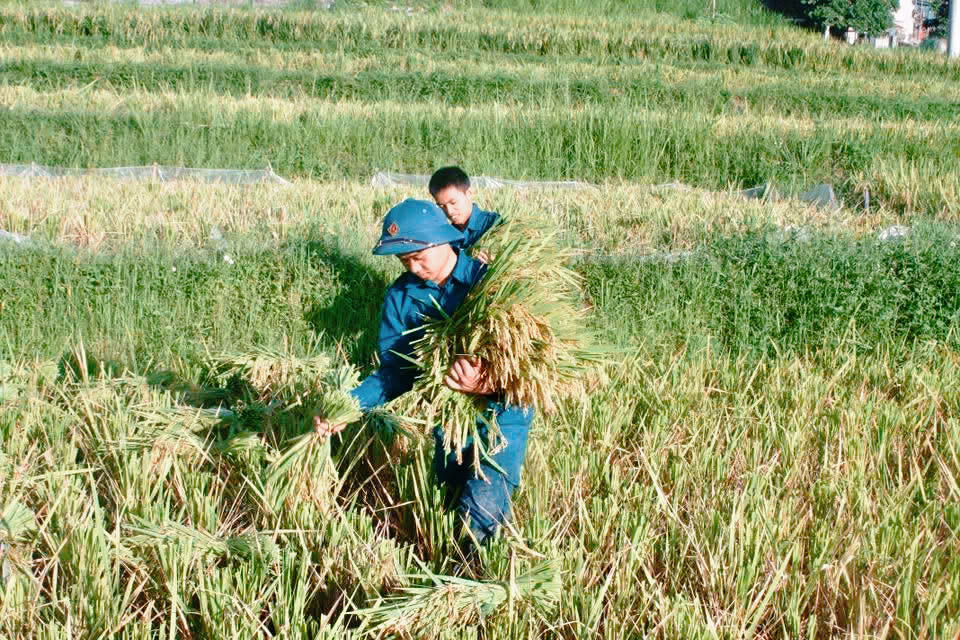 Anh-tin-bai