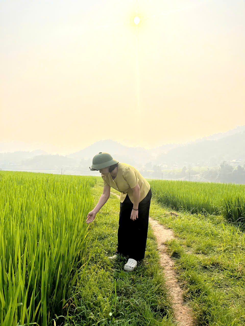 C:\Users\Admin\Desktop\Ảnh thăm đồng\z7709952476899_960367e42b8c4fbe32c08e63a9217a87.jpg