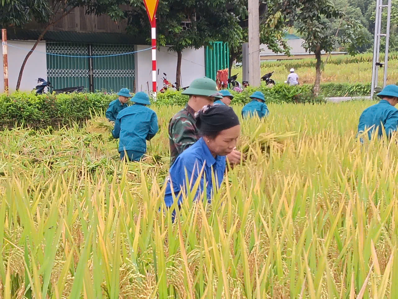 Anh-tin-bai