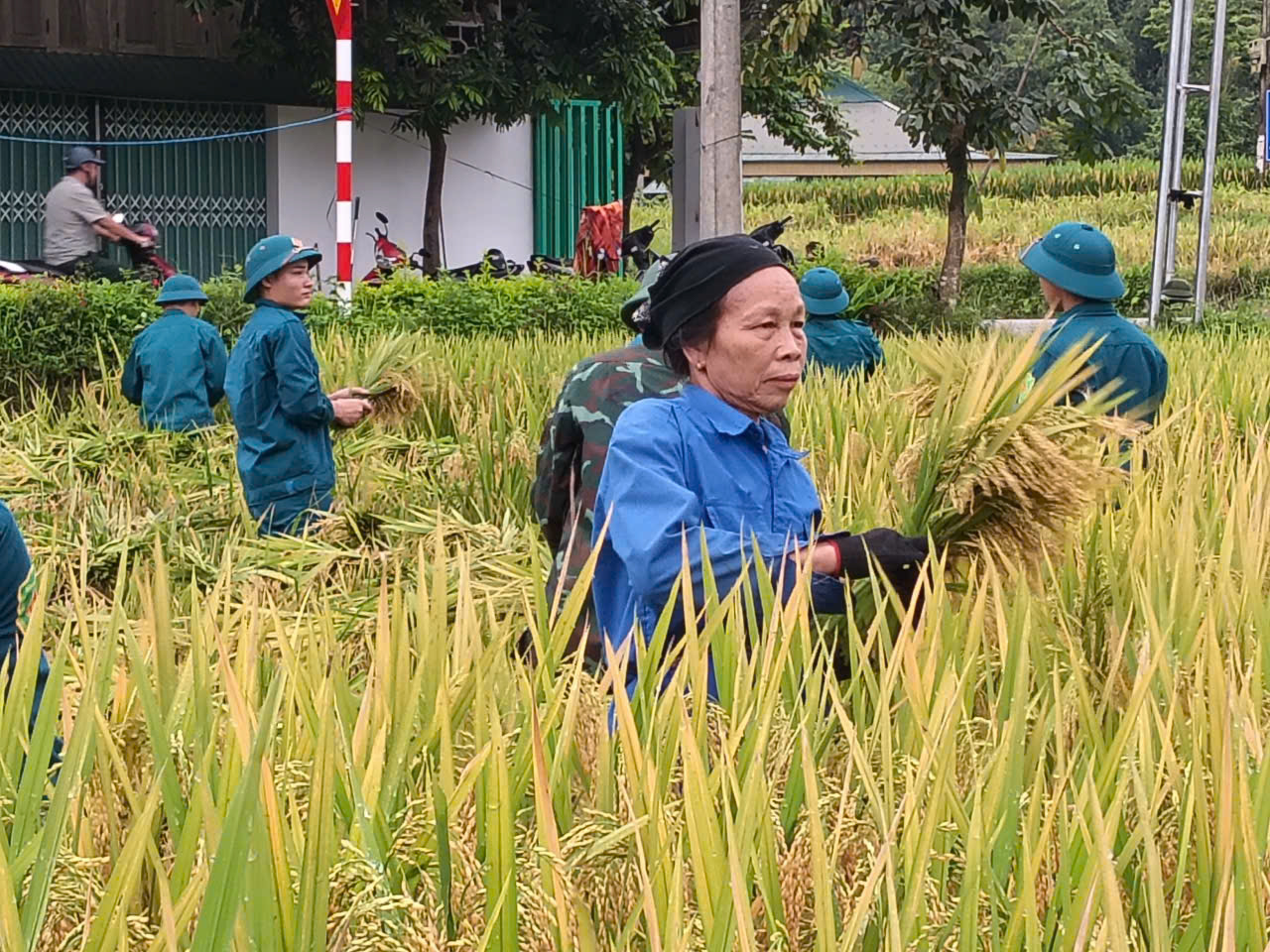 Anh-tin-bai