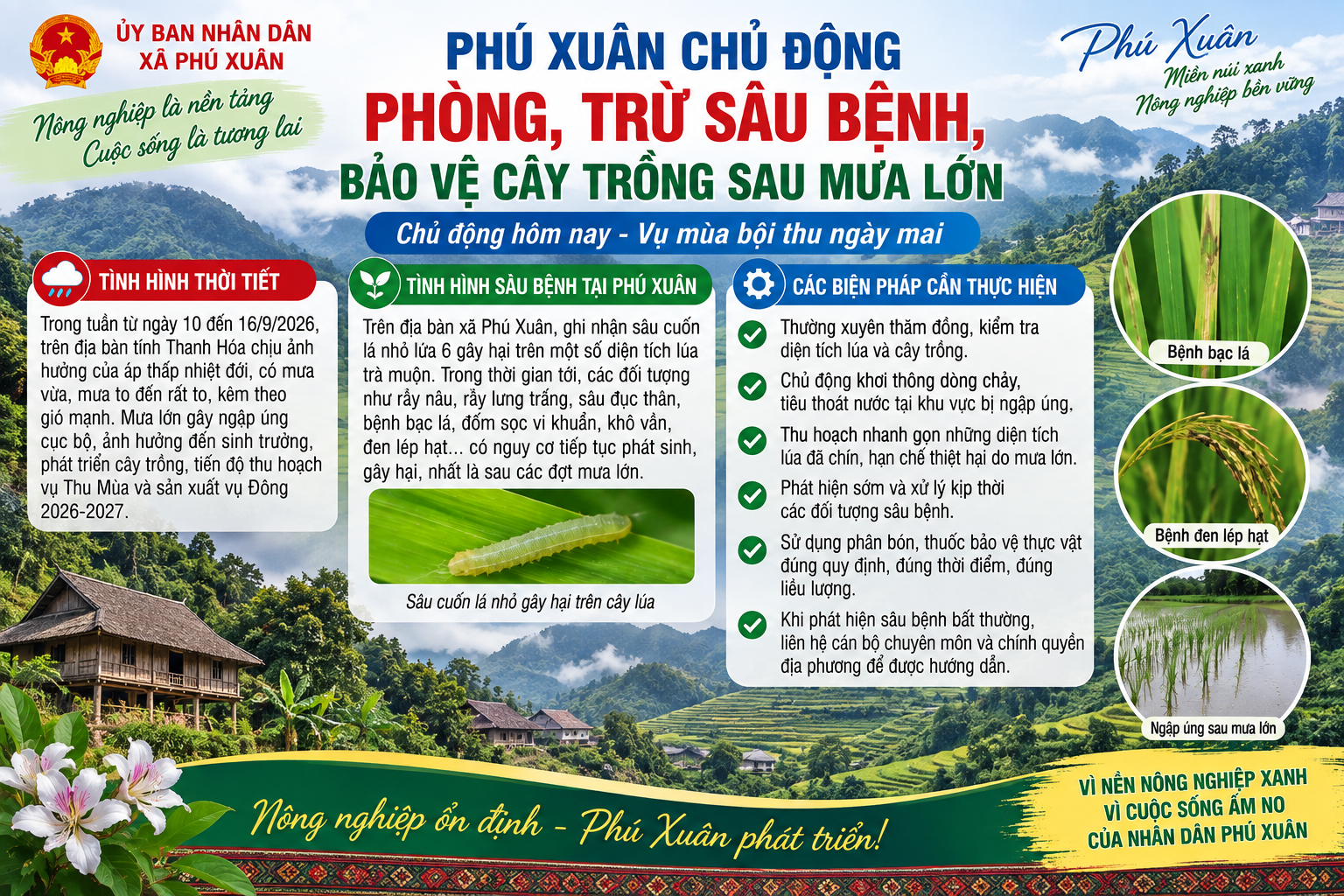 PHÚ XUÂN CHỦ ĐỘNG PHÒNG, TRỪ SÂU BỆNH, BẢO VỆ CÂY TRỒNG SAU MƯA LỚN