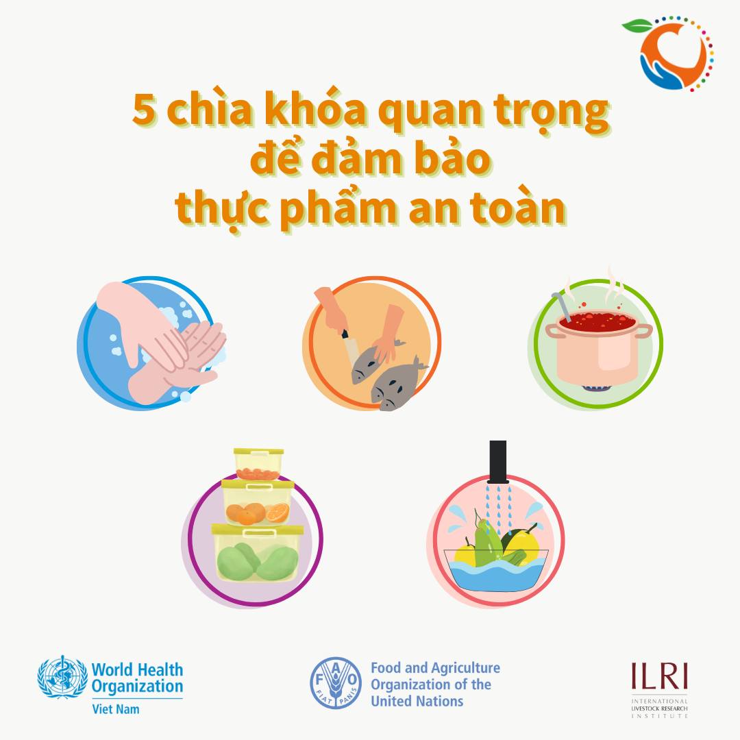 https://cdn-images.vtv.vn/66349b6076cb4dee98746cf1/2026/03/31/1-88693676579495151842400.jpg