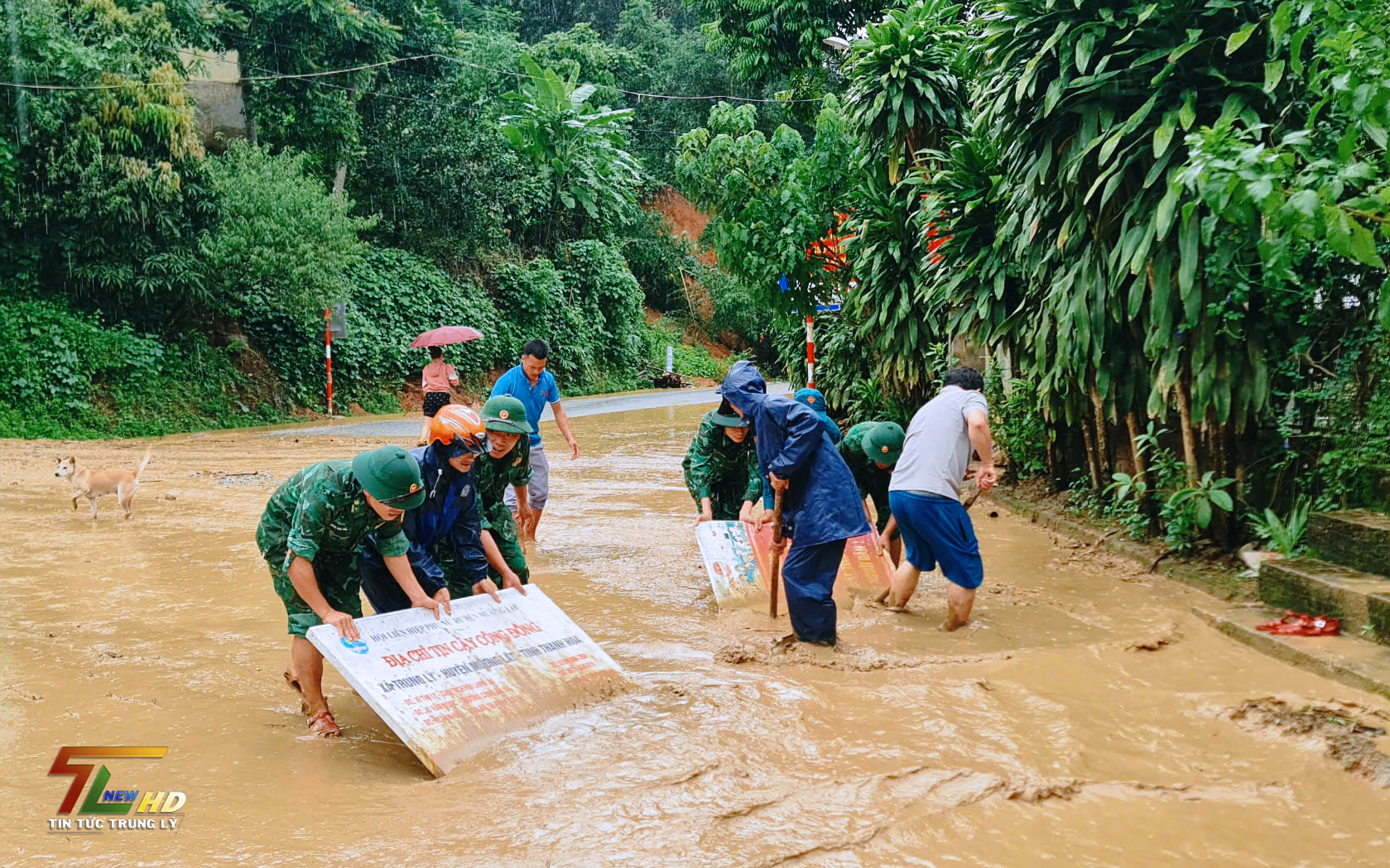 Trung Lý chủ động, quyết liệt ứng phó với bão số 5.