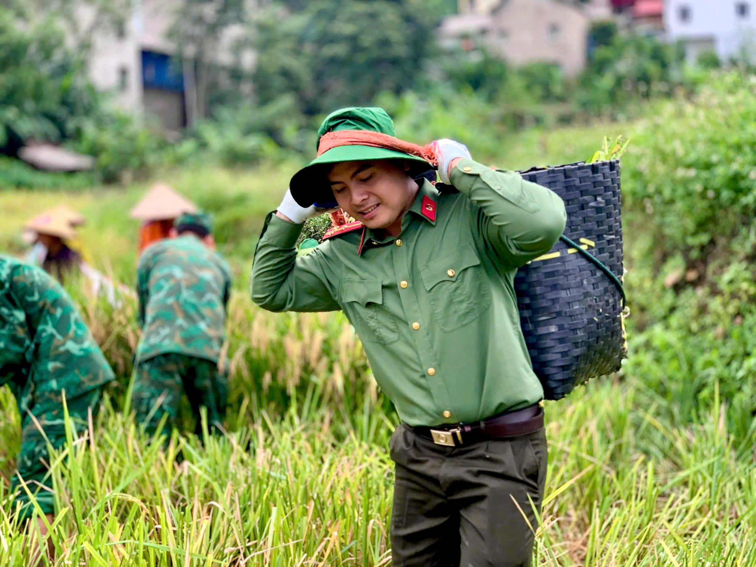 Nghĩa tình Quang Chiểu: Chung tay giúp người già neo đơn vượt qua mùa gặt