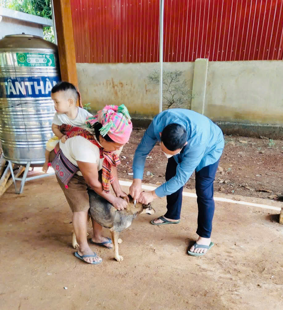 Triển khai tiêm phòng vắc xin cho đàn gia súc, gia cầm đợt 2 năm 2026