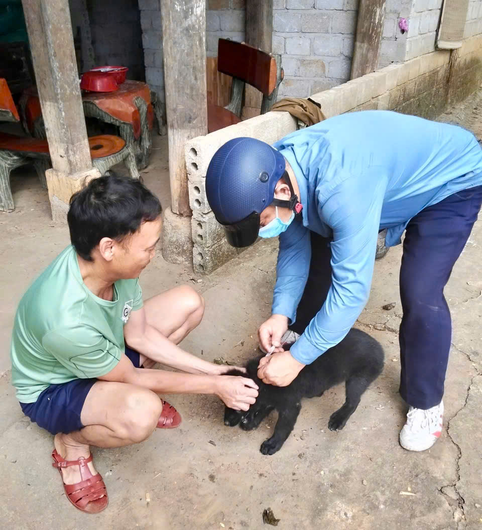 Anh-tin-bai