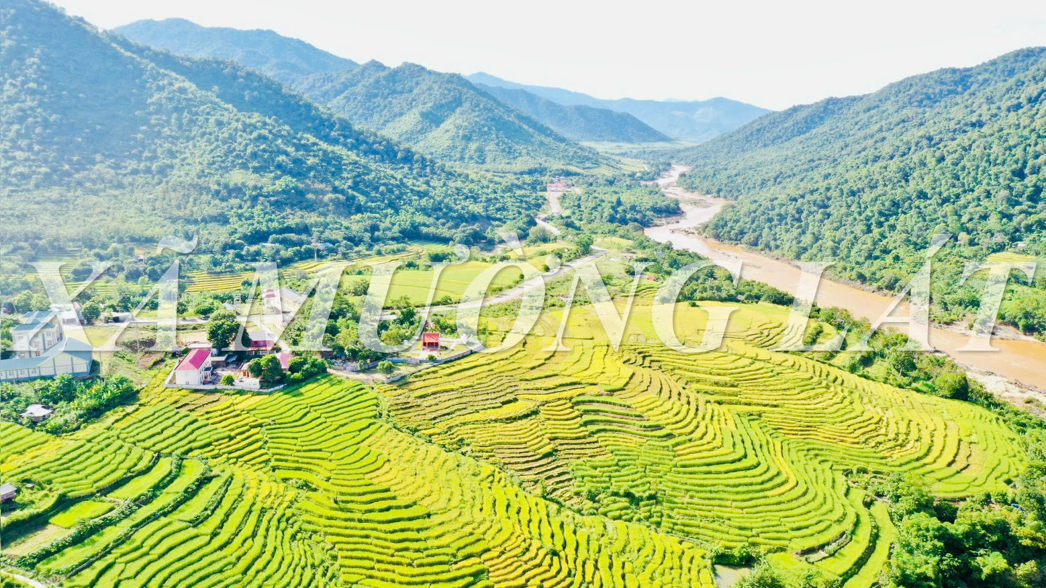 Vàng rực mùa gặt trên những thửa ruộng bậc thang ở Mường Lát