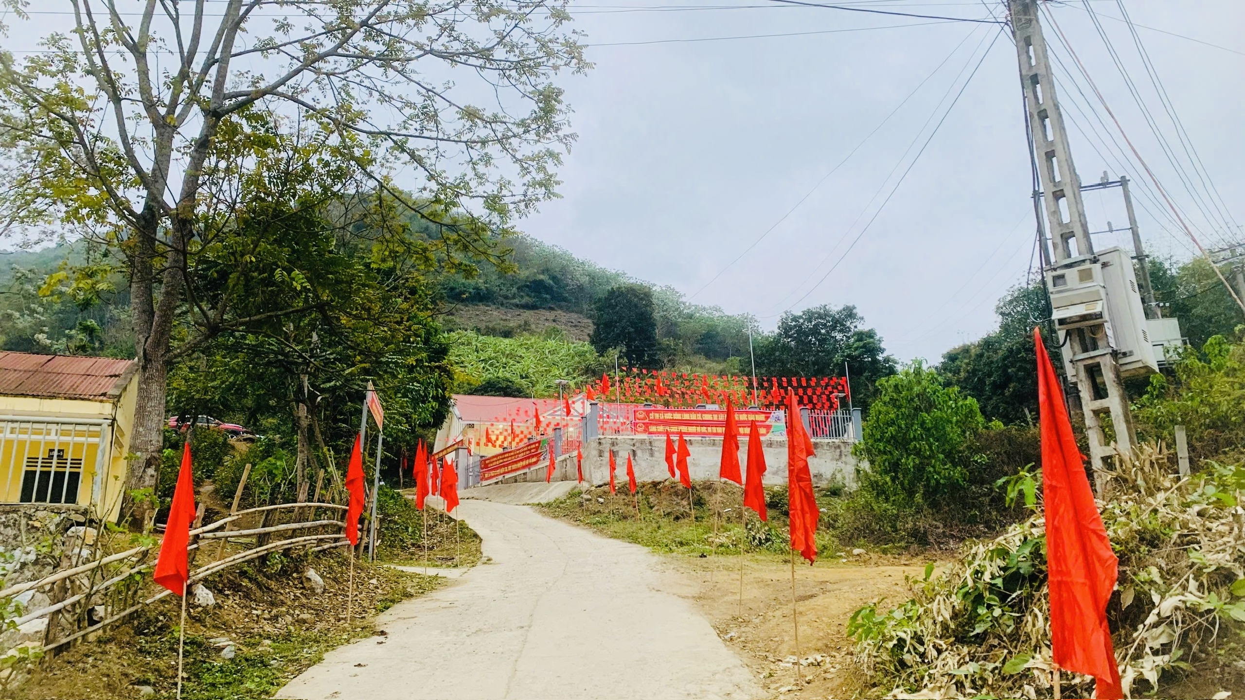Anh-tin-bai