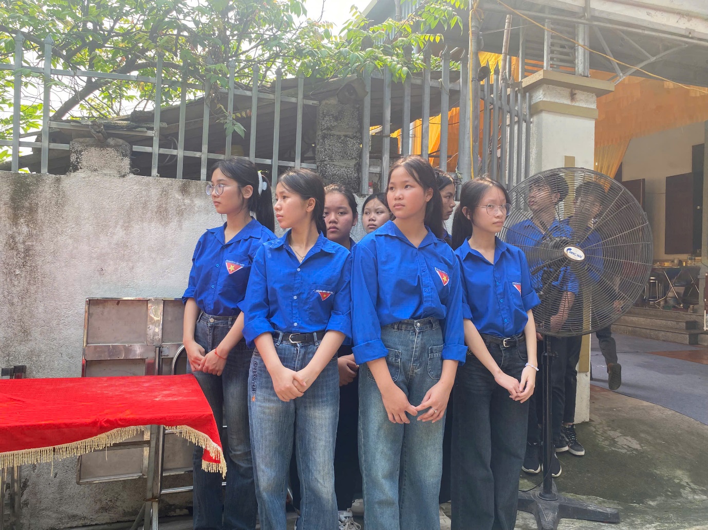 Picture 15