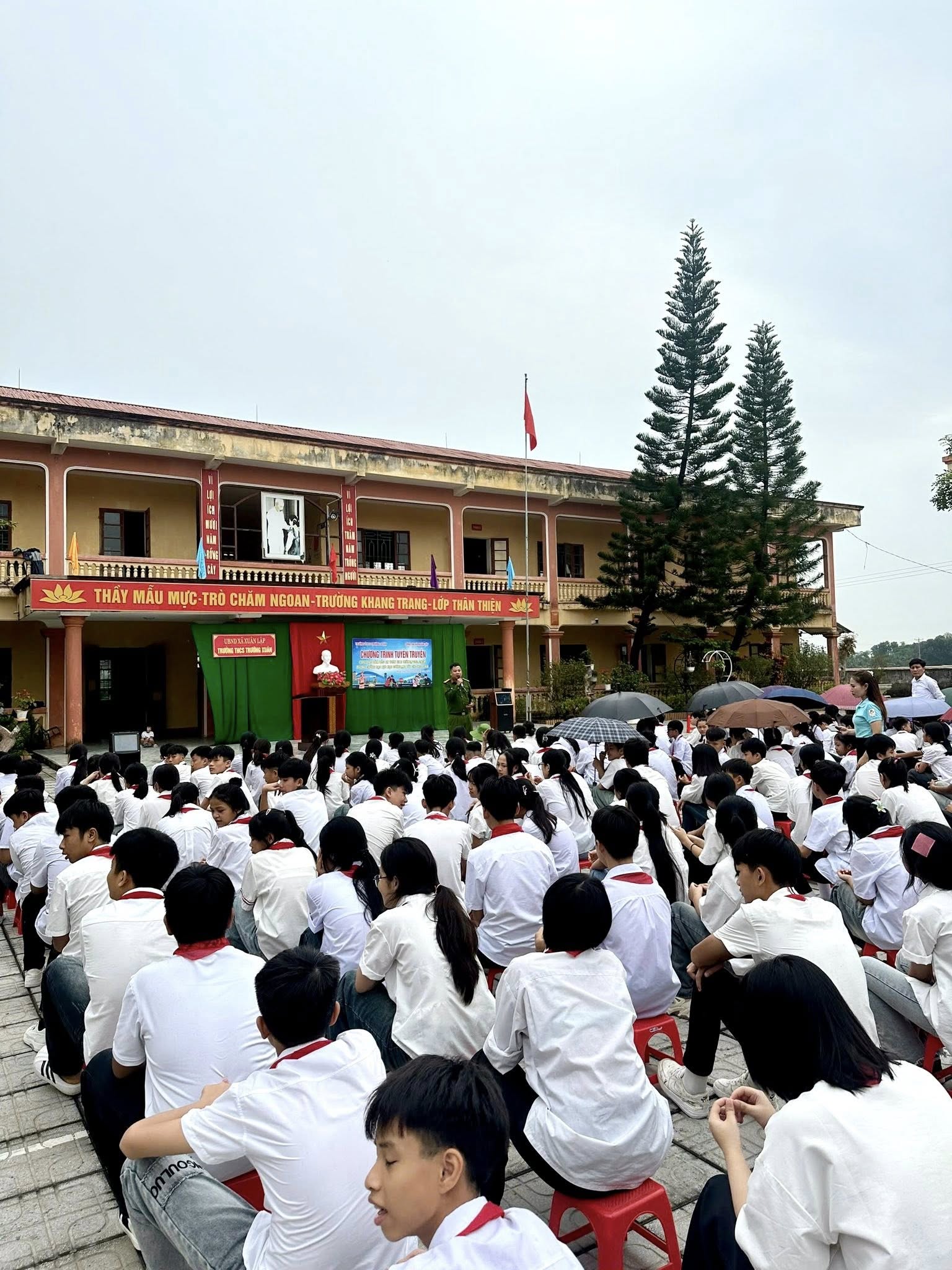 Picture 5